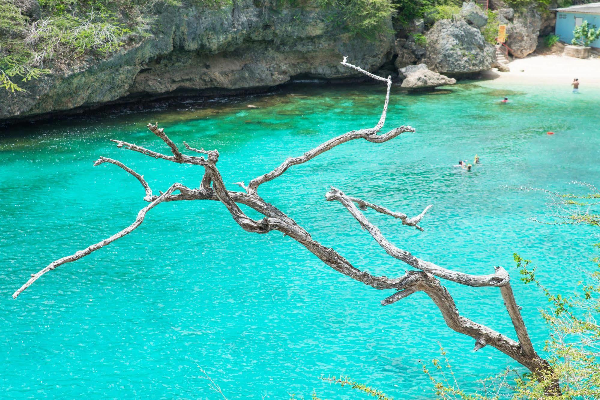 Lagun Blou Dive And Beach Resort Buitenkant foto