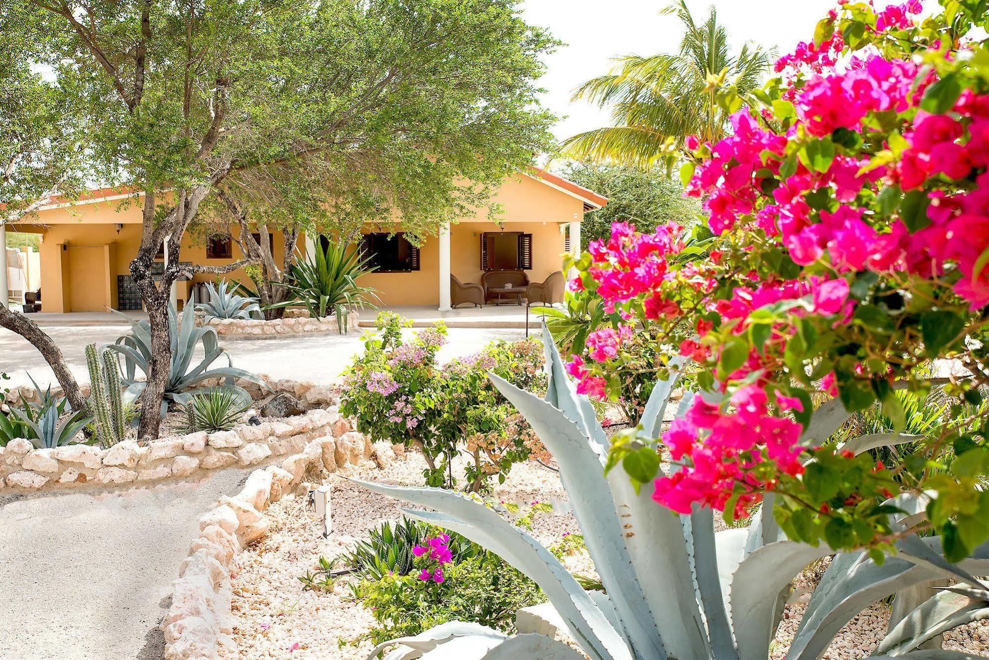 Lagun Blou Dive And Beach Resort Buitenkant foto
