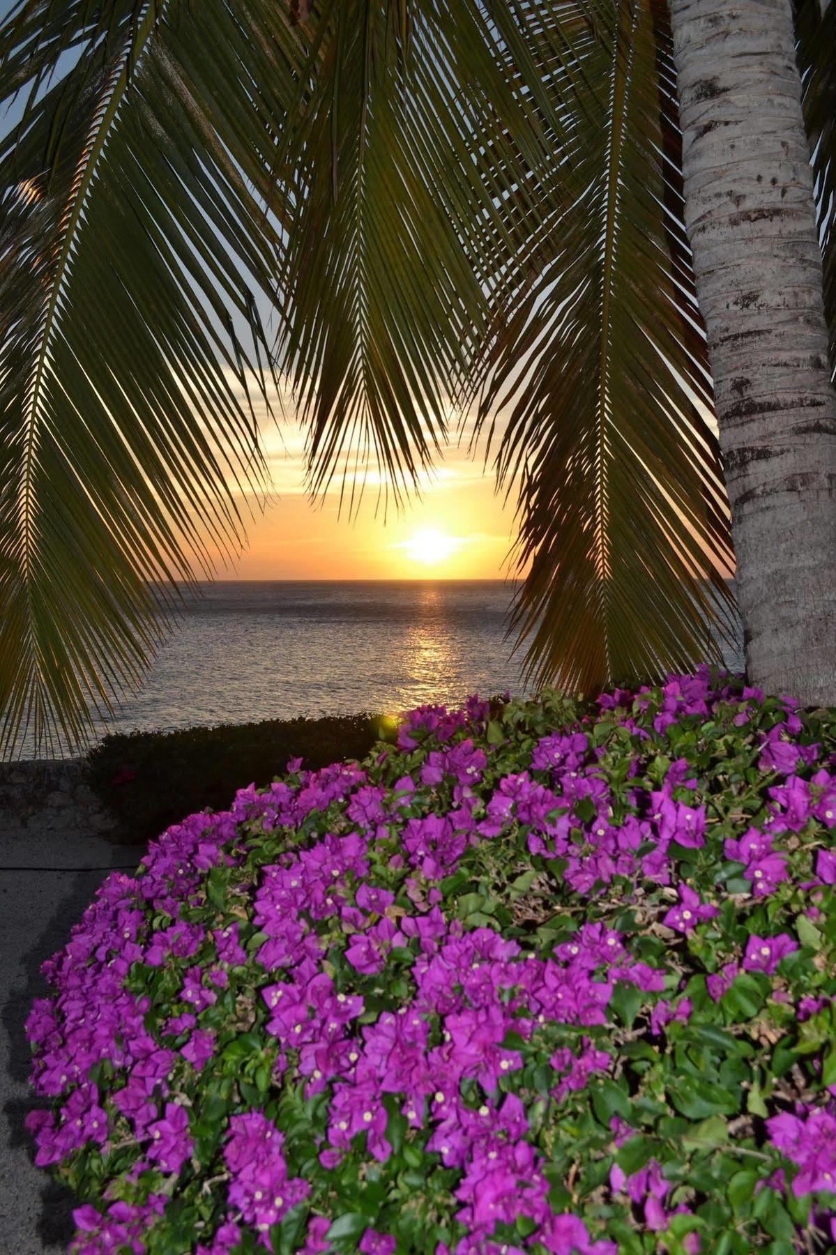 Lagun Blou Dive And Beach Resort Buitenkant foto